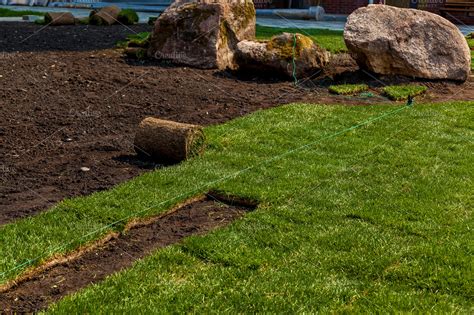 Laying of grass in rolls containing nature, grass, and roll | Industrial Stock Photos ~ Creative ...