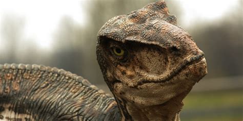 "Jurassic World" Had The Biggest Opening Weekend Ever With $524M Debut