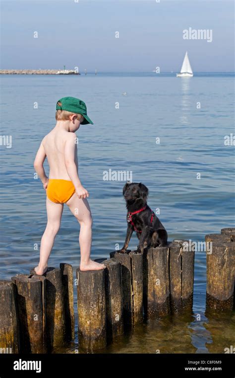 young boy walking along a groyne at the beach of Kuehlungsborn ...