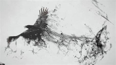 Raven Art Wallpapers on WallpaperDog