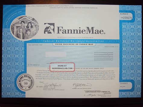 Fannie Mae Stock Certificate