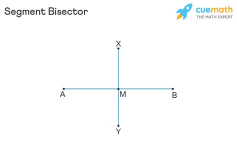 Segment Bisector Geometry