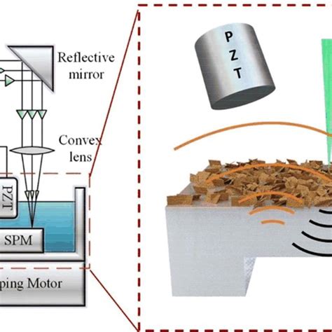 (a) Experimental setup diagram (left) and schematic diagram of echo ...