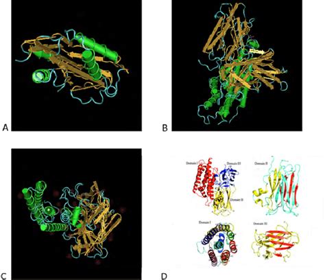 3-dimentional structure of Bacillus thuringiensis subsp. israelensis ...