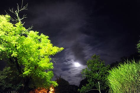 Harvest Moon at NASA Goddard | September's Harvest Moon as s… | Flickr