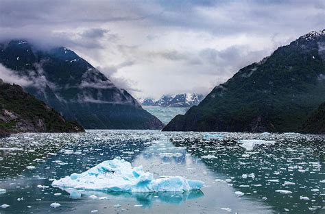 Glacier Bay, Alaska Photograph by Evan Bracken - Fine Art America