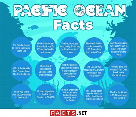 Top 15 Pacific Ocean Facts - Nature, Economy, History & More | Facts.net