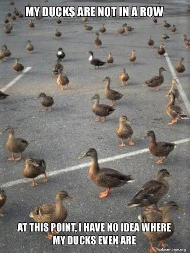 How to Line Up Ducks When You Can't Afford a Duck - ChumpLady.com