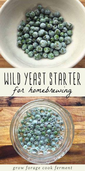 Learn how to make a wild yeast starter for home brewing and natural ...