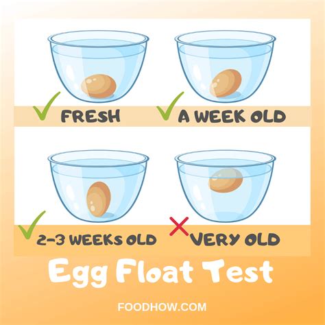 Which Eggs Are The Healthiest – Buying And Cooking Guide