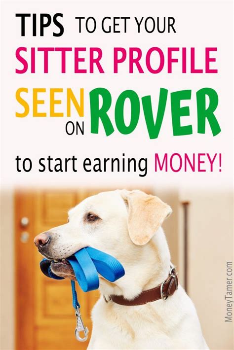 Rover Dog Sitting Tips: Get Your Profile Seen