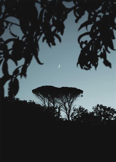 Moonrise Kingdom 🌒 135 Photos & Videos Collected by Andrew Neel