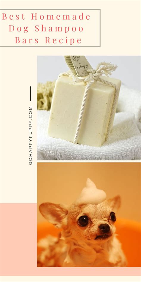 2022 Best Homemade Dog Shampoo Bars Recipe - How to Make Dog Shampoo At Home | Recipe | Dog ...