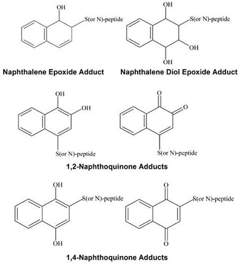 Structures of the predicted adducts. The products of adduct formation... | Download Scientific ...