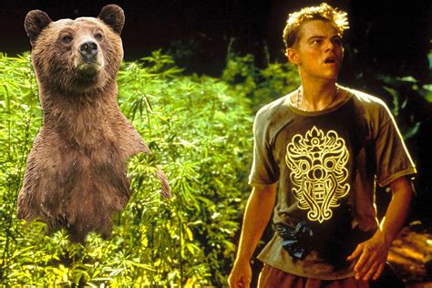 Leonardo DiCaprio and The Bear from The Revenant - Spoof Pictures ...