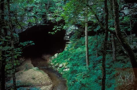 Altamira Cave, Spain » Ancient Art Archive