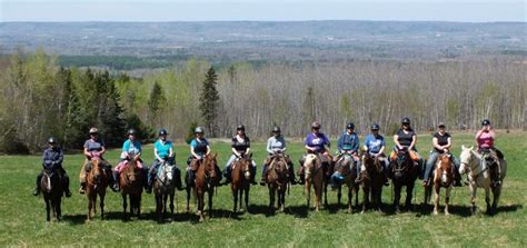 “The Fillies” of Nova Scotia – Horse Lovers, Trail Riders and Lifelong Friends – WARHorses