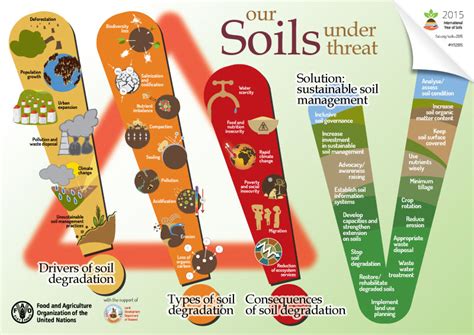 Our soils under threat