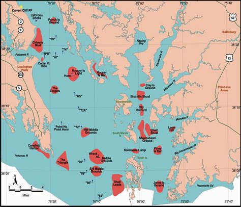 Learning fishing and spots around Chesapeake - The Hull Truth - Boating and Fishing Forum