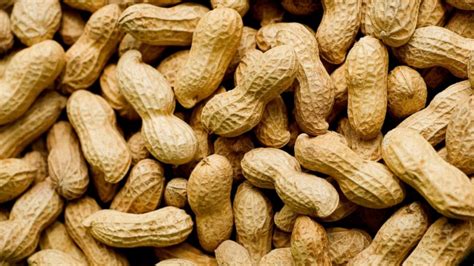 Eating Peanuts Early in Life May Reduce Risk of Developing Peanut ...