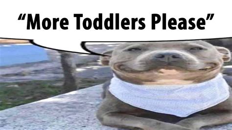 "More Toddlers Please" - YouTube