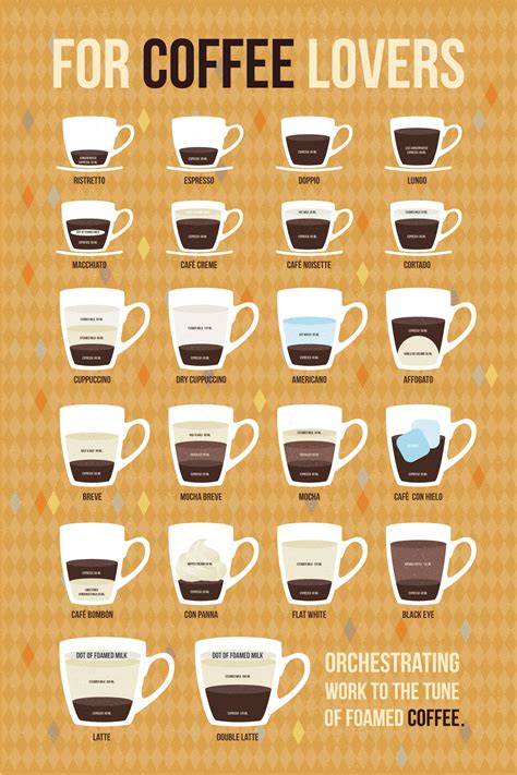 Beginner Guide's about Different Types of Coffee - Natgeos