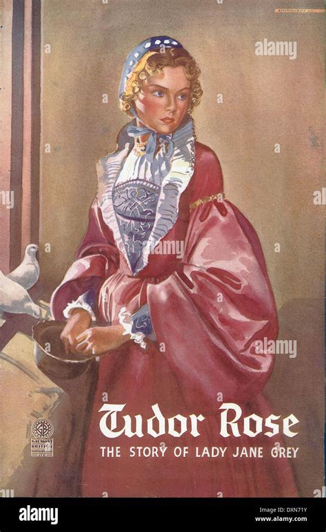 TUDOR ROSE Stock Photo: 68078695 - Alamy