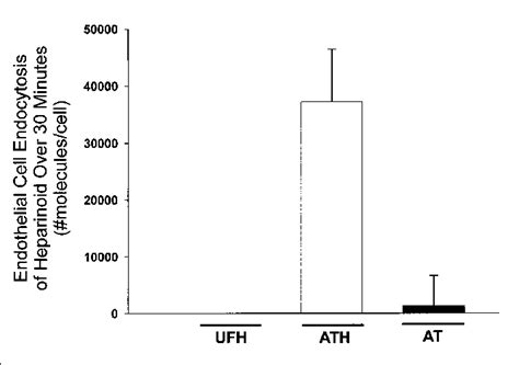 Endocytosis of bound heparinoid by endothelial cells. UFH,... | Download Scientific Diagram