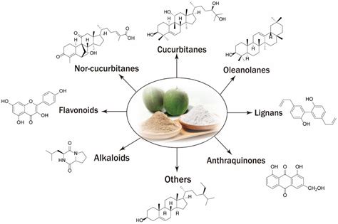 Molecules | Free Full-Text | A Review of the Phytochemistry and Pharmacology of the Fruit of ...