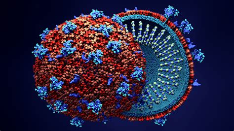 Scientists figure out how new coronavirus breaks into human cells | Live Science