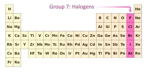 The Halogens - Group 17 - Assignment Point