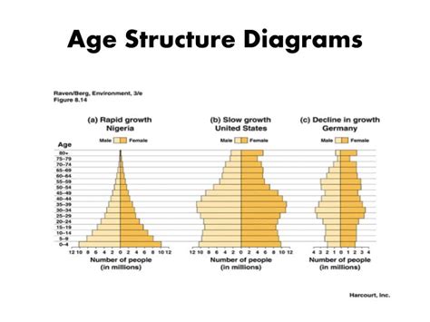 Age Structure Diagram Shapes