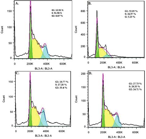 -Cell cycle assay using flow cytometry after 48 h. (A) control group... | Download Scientific ...