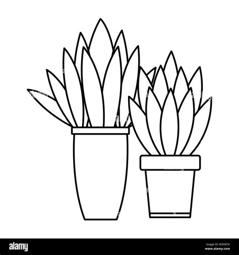 Decorative house plant pots cartoon in black and white Stock Vector Image & Art - Alamy