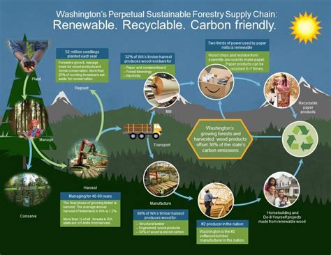 Carbon Sequestration – Washington Forest Protection Association