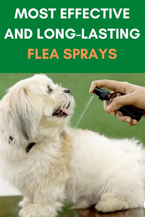 Best Flea Sprays for Dogs in 2020 | Flea spray, Flea spray for dogs, Best flea spray