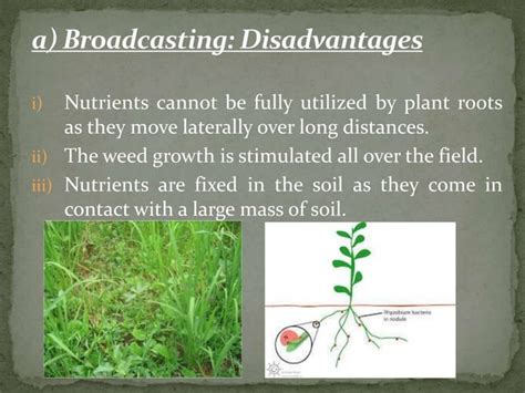 Methods of fertilizer application | PPT