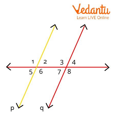 Alternate Interior Angles In Hindi | Review Home Decor