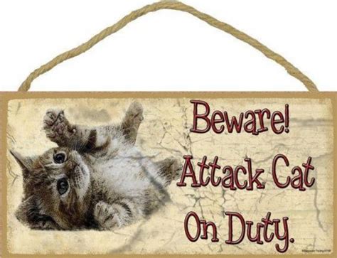 15 Honest And Hysterical "Beware Of Cat" Signs That Sum It Up Well | Catlov