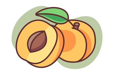 Premium Vector | Apricot cartoon illustration