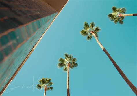 Free stock photo of angels, blue sky, clear sky