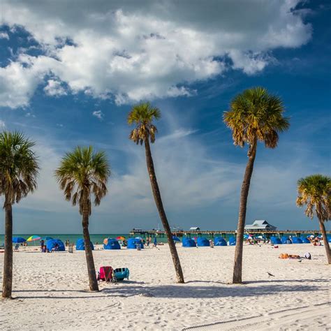 The Very Best Beaches to Hit in the Tampa Bay Area | Best beach in florida, Beach, Honeymoon island