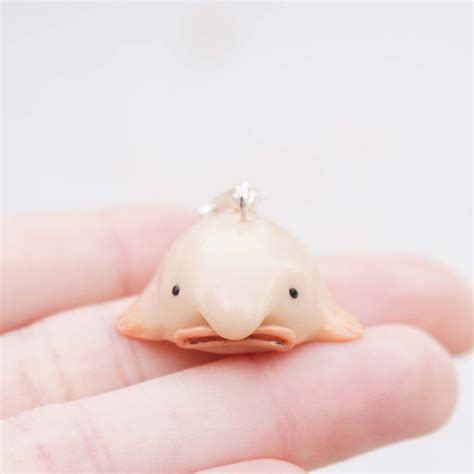 Baby Blobfish