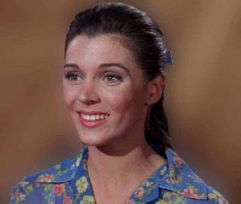 Donna Baccala Big Valley Actress: Wiki, Bio, Age & more - Pop Creep