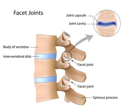 Facet Joint Injections (Cervical and Lumbar) | Rolling Hills Md