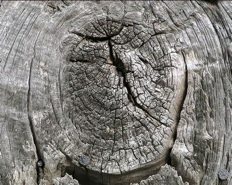 HD wallpaper: knot, wood, barn, weathered, wooden, timber, rings, tree ...