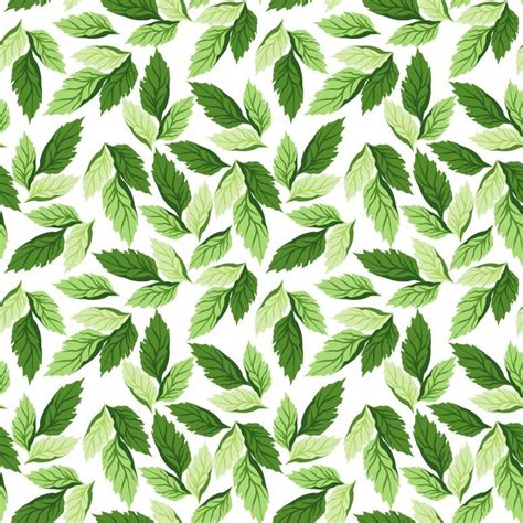 14 Vector Leaf Pattern Images - Leaf Design Pattern, Seamless Pattern Green Leaves and Green ...