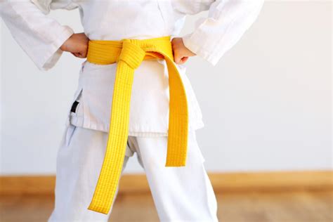 Every Martial Arts Student Should Know These Hapkido Belt Levels ...