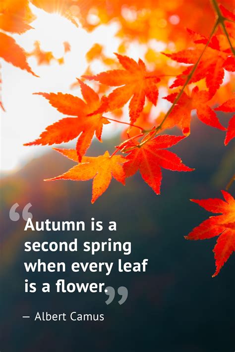 autumn is a second spring when every leaf is a flower