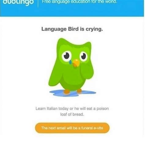 26 Duolingo Memes That'll Strike Fear In Your Heart | Duolingo, Learning italian, Memes